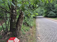 Kluizenaarsweg via Dennenweg