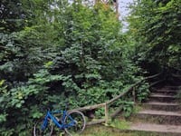 Kluizenaarsweg via Dennenweg