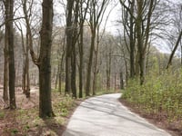Kluizenaarsweg über Pinkenbergseweg