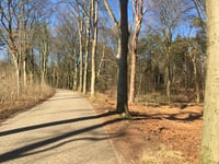 Kluizenaarsweg über Pinkenbergseweg