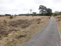 Kluizenaarsweg von Rozendaalse Veld