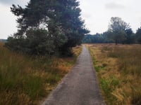 Kluizenaarsweg von Rozendaalse Veld
