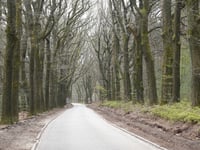 Kluizenaarsweg via Dennenweg