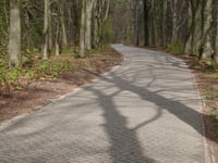 Kluizenaarsweg via Dennenweg