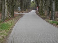 Kluizenaarsweg via Dennenweg