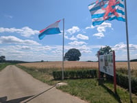 Kneiff