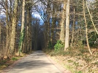 Kneppelhoutweg