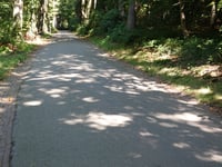 Kneppelhoutweg