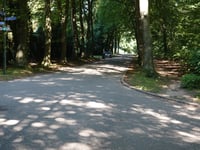 Kneppelhoutweg