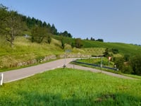 Knetschwasen vanuit Büchelbach