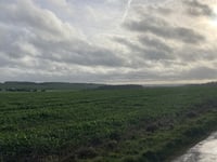 Knighton Hill z Compton Beauchamp