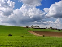 Koekoeksweg von Winthagen