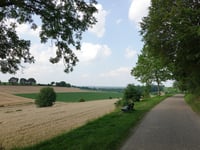 Koekoeksweg von Winthagen