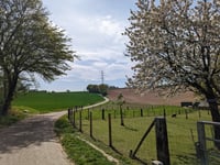 Koekoeksweg von Winthagen