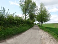 Koekoeksweg von Winthagen