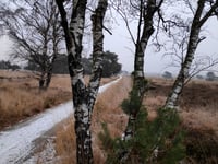 Koningsweg z Schaarsbergen