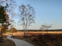 Koningsweg z Schaarsbergen