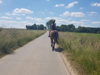 Koereit