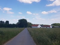 Koereit