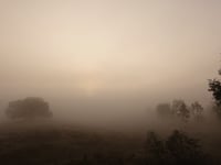 Koeweg desde Otterlo