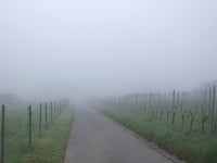 Kogelherrenstrasse von Wolf