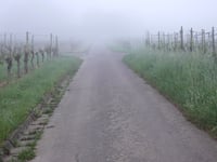 Kogelherrenstrasse von Wolf