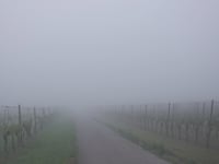 Kogelherrenstrasse von Wolf