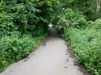 Kohlberger Strasse über Steinweg