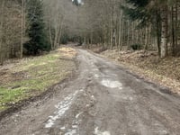 Kojšovská hoľa from Gelnica