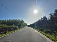 Kolmontberg über Jesserseweg