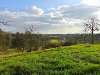 Kolmontberg from Piringen