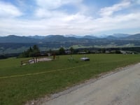 Kolomansberg desde Irlach