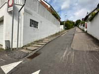 Kongebakken por Christian Winthers Vej