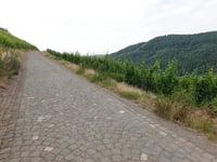 Königsberg von Rissbach