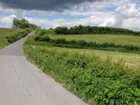 Königsmühlenweg z Walheim