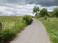 Königsmühlenweg z Walheim