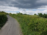 Königsmühlenweg z Walheim
