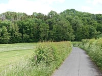 Königsmühlenweg z Walheim