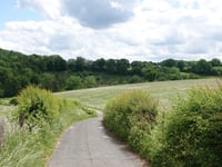Königsmühlenweg z Walheim