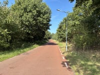 Koninginnelaan via Fonteinallee