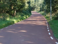 Koninginnelaan par Fonteinallee