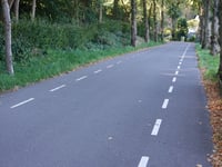 Koninginnelaan from Heelsum