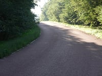 Koninginnelaan from Heelsum