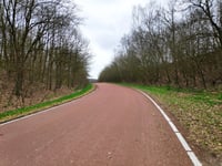 Koninginnelaan from Heelsum