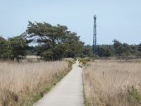Koningsweg von Rozendaalse Veld