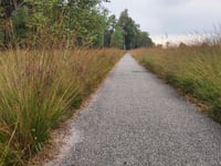 Koningsweg von Rozendaalse Veld