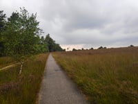 Koningsweg von Rozendaalse Veld