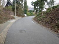 Koningsgraven via Oudenboschstraat