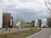 Koningskaars über Hoogveldlaan