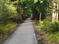 Kooiberg von Hoog Buurlo